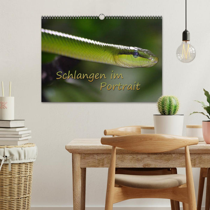 Schlangen im Portrait (CALVENDO Wandkalender 2026)
