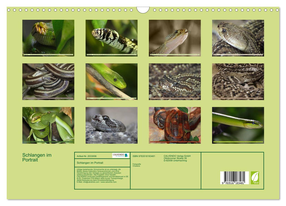 Schlangen im Portrait (CALVENDO Wandkalender 2026)