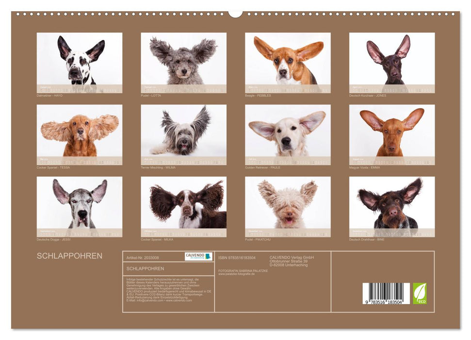 SCHLAPPOHREN (CALVENDO Premium Wandkalender 2026)