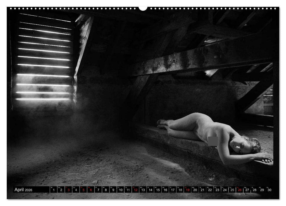 Aktfotografie in alten Mauern (CALVENDO Premium Wandkalender 2026)