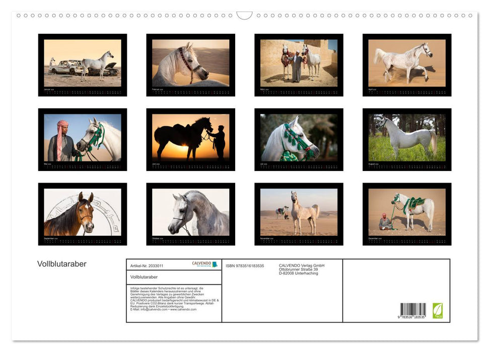 Vollblutaraber (CALVENDO Wandkalender 2026)