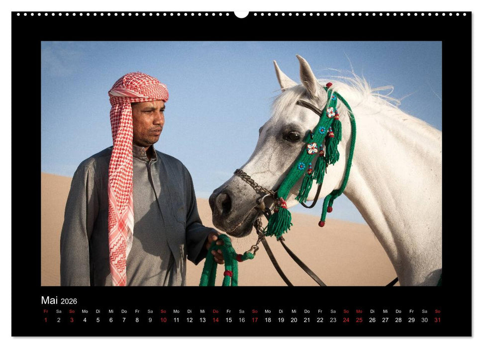 Vollblutaraber (CALVENDO Wandkalender 2026)