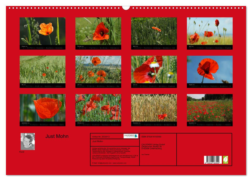 Just Mohn (CALVENDO Wandkalender 2026)