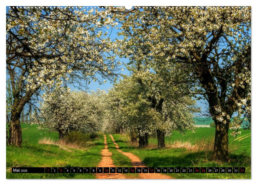 Harz Landschaften (CALVENDO Wandkalender 2026)