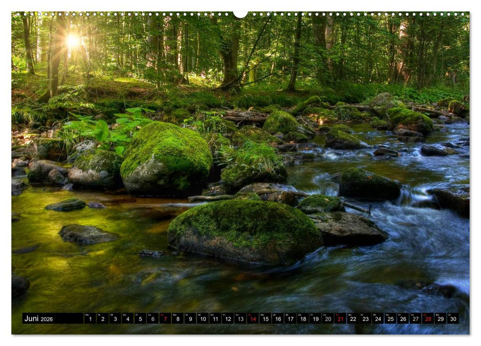 Harz Landschaften (CALVENDO Wandkalender 2026)
