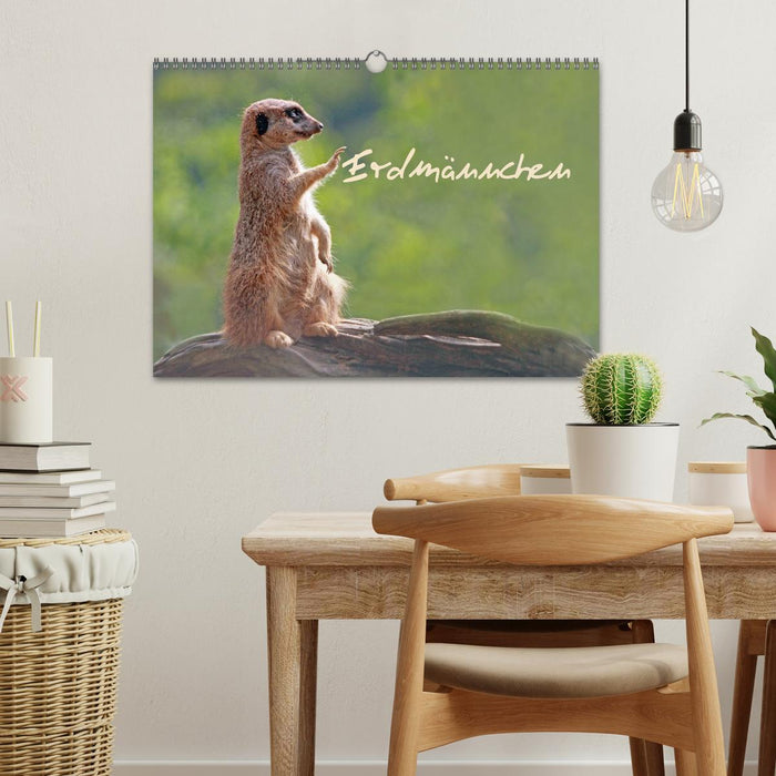 Erdmännchen (CALVENDO Wandkalender 2026)