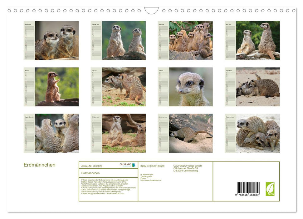 Erdmännchen (CALVENDO Wandkalender 2026)