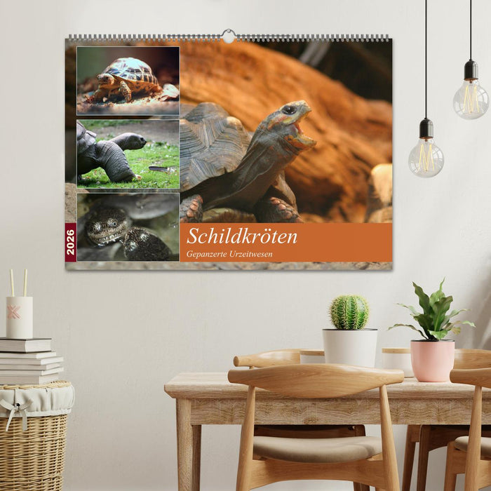 Schildkröten - Gepanzerte Urzeitwesen (CALVENDO Wandkalender 2026)