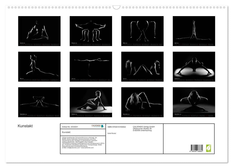 Kunstakt (CALVENDO Wandkalender 2026)