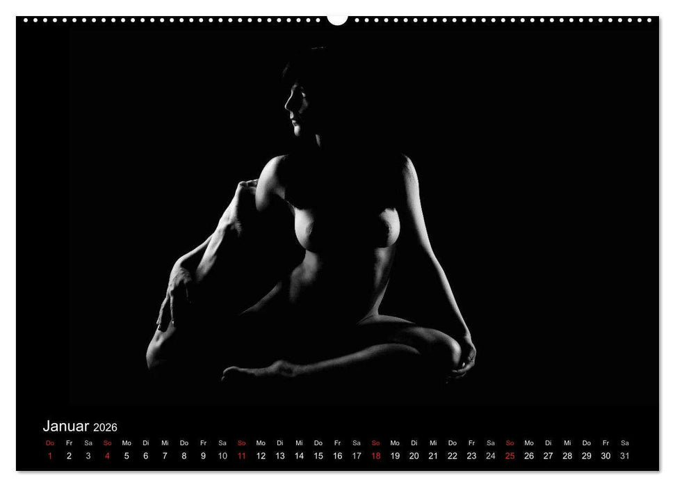 Kunstakt (CALVENDO Wandkalender 2026)