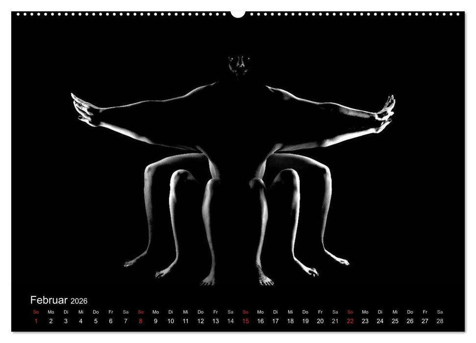 Kunstakt (CALVENDO Wandkalender 2026)