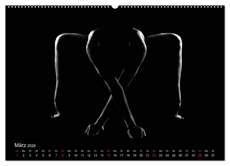 Kunstakt (CALVENDO Wandkalender 2026)