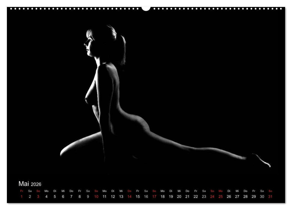 Kunstakt (CALVENDO Wandkalender 2026)