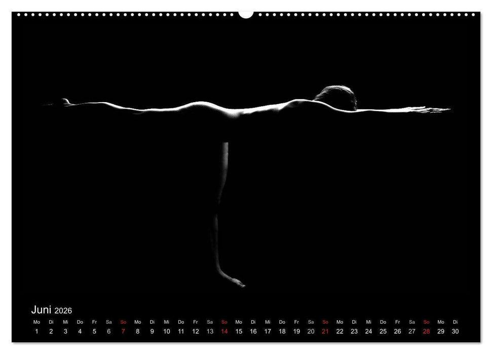 Kunstakt (CALVENDO Wandkalender 2026)