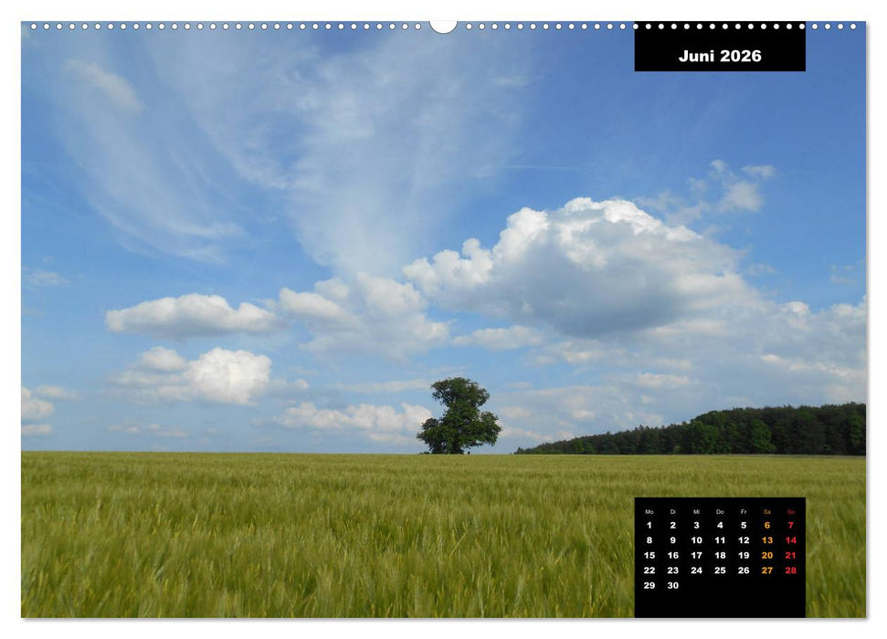 Odenwald Emotionen (CALVENDO Wandkalender 2026)