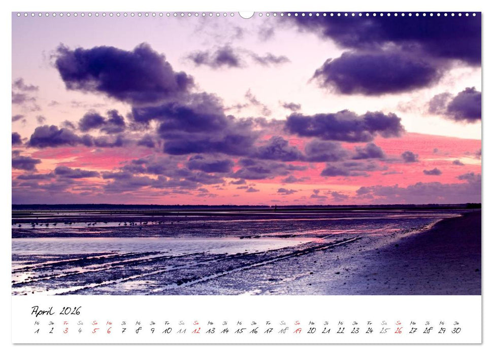 Föhrweh - Stimmungsvolle Nordsee Bilder (CALVENDO Premium Wandkalender 2026)