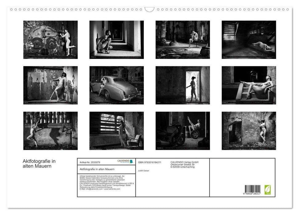 Aktfotografie in alten Mauern (CALVENDO Wandkalender 2026)