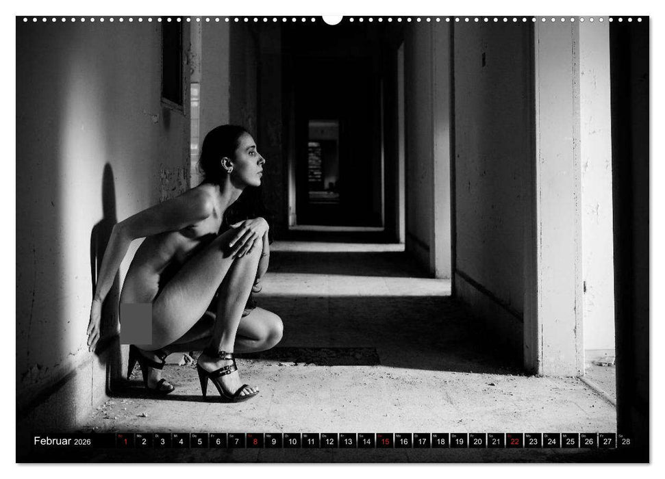 Aktfotografie in alten Mauern (CALVENDO Wandkalender 2026)