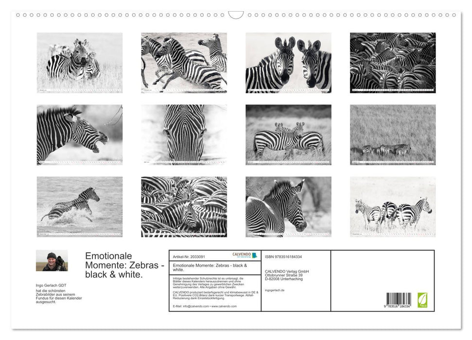 Emotionale Momente: Zebras - black & white. (CALVENDO Wandkalender 2026)