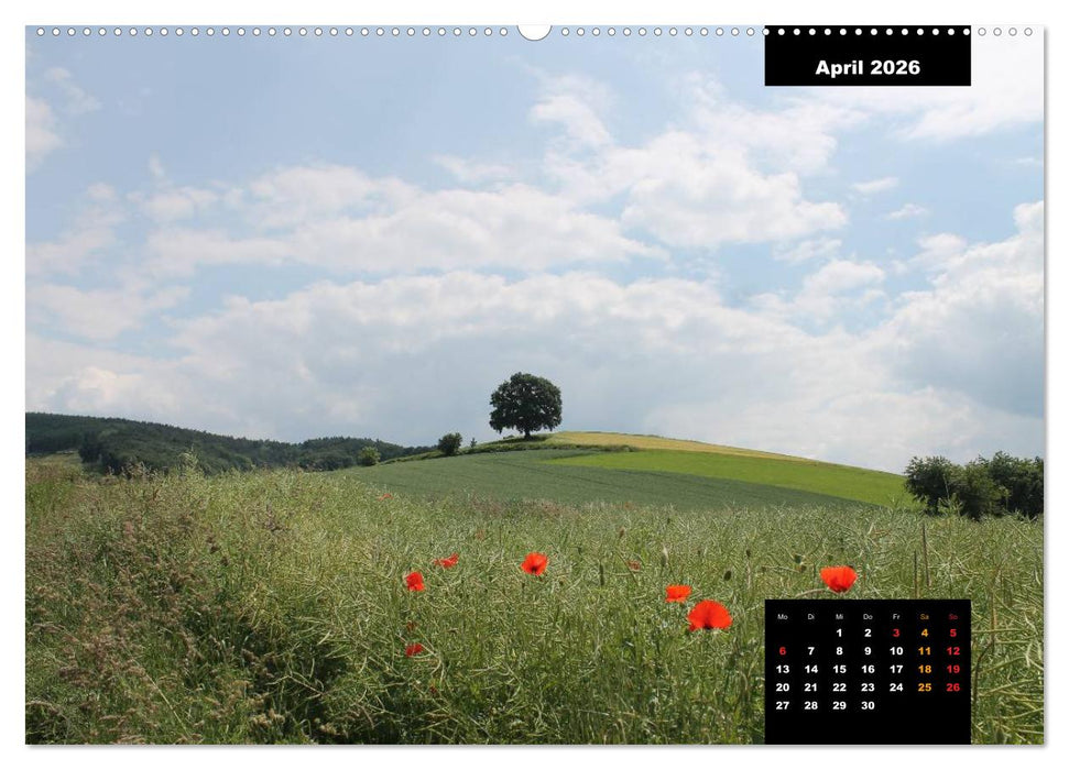 Odenwald Emotionen (CALVENDO Premium Wandkalender 2026)