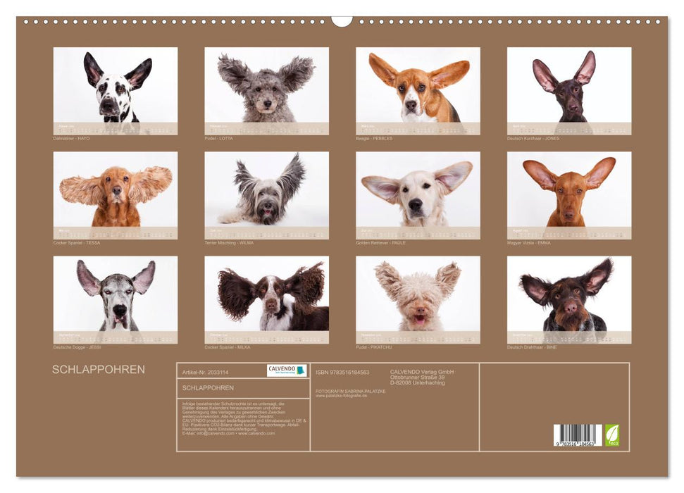 SCHLAPPOHREN (CALVENDO Wandkalender 2026)