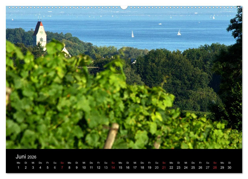 Ein Jahr am BODENSEE (CALVENDO Premium Wandkalender 2026)