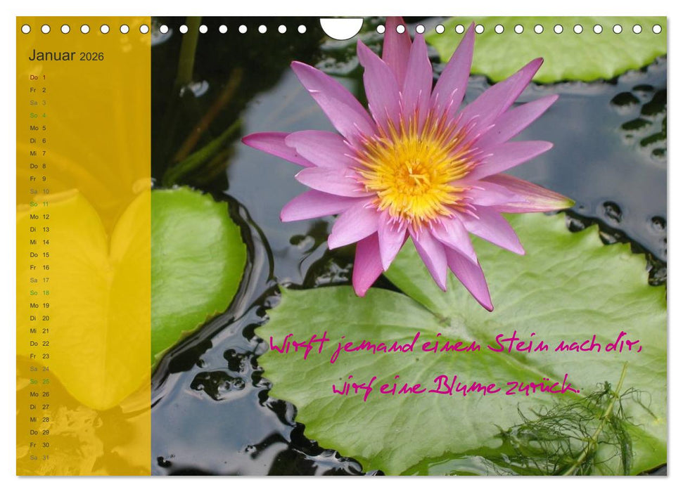 Bali und Java ~ mit indonesischen Weisheiten (CALVENDO Wandkalender 2026)