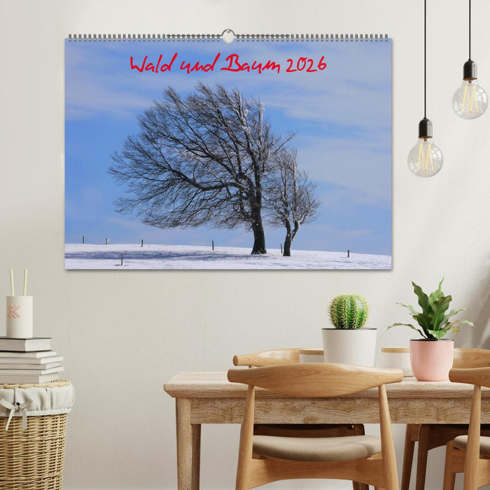 Wald und Baum 2026 (CALVENDO Wandkalender 2026)