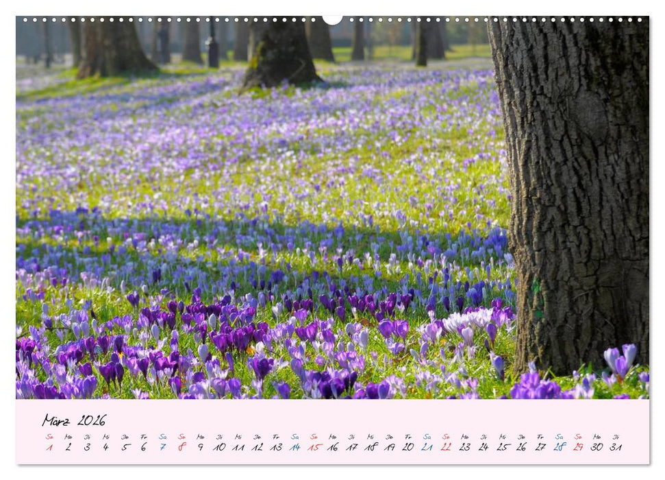 Wald und Baum 2026 (CALVENDO Wandkalender 2026)
