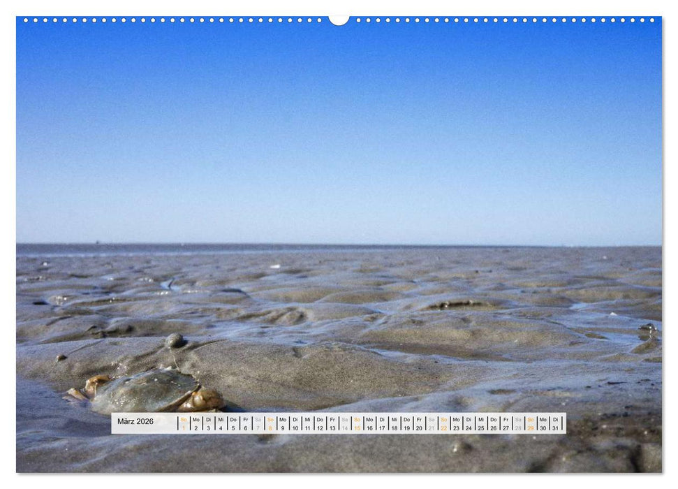 St. Peter-Ording (CALVENDO Premium Wandkalender 2026)