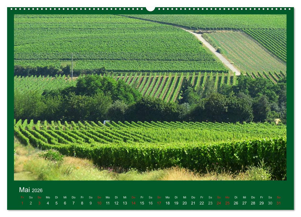 Im Rheingau (CALVENDO Wandkalender 2026)