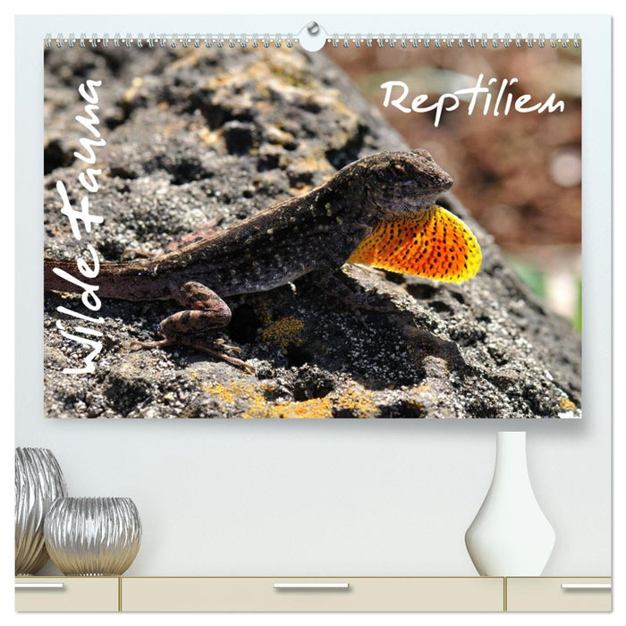 Wilde Fauna - Reptilien (CALVENDO Premium Wandkalender 2026)
