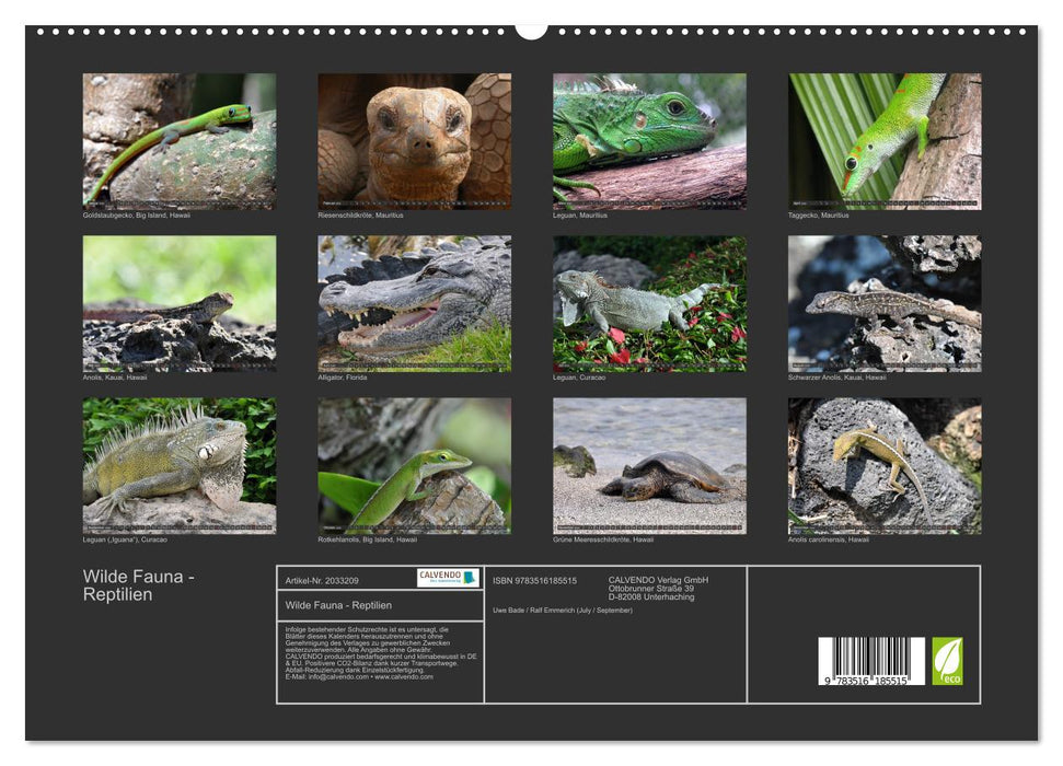 Wilde Fauna - Reptilien (CALVENDO Premium Wandkalender 2026)