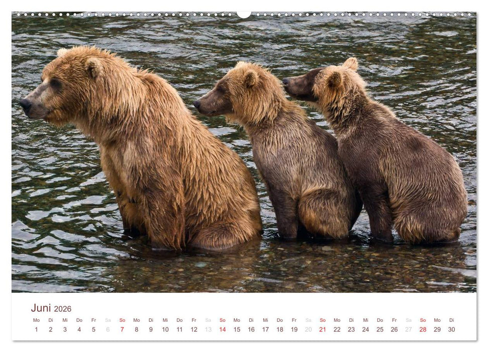 Der Alaska Kalender (CALVENDO Premium Wandkalender 2026)