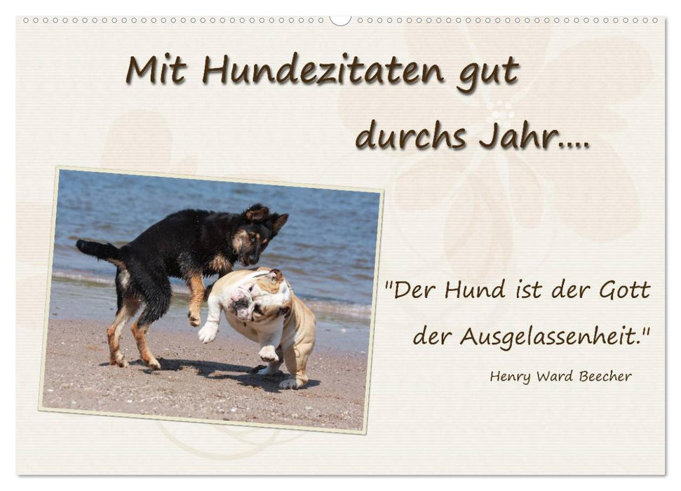 Mit Hundezitaten gut durchs Jahr (CALVENDO Wandkalender 2026)