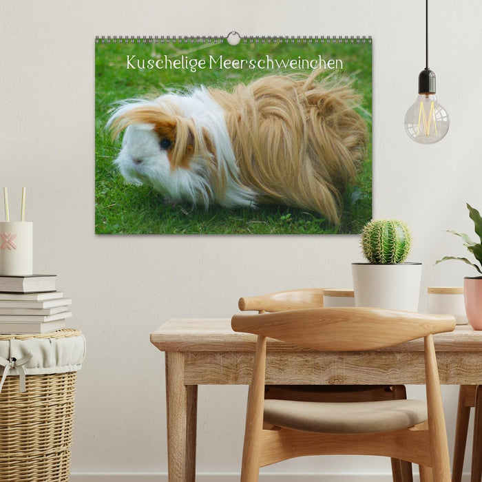 Kuschelige Meerschweinchen (CALVENDO Wandkalender 2026)