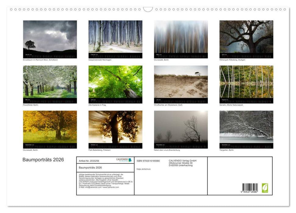 Baumporträts 2026 (CALVENDO Wandkalender 2026)