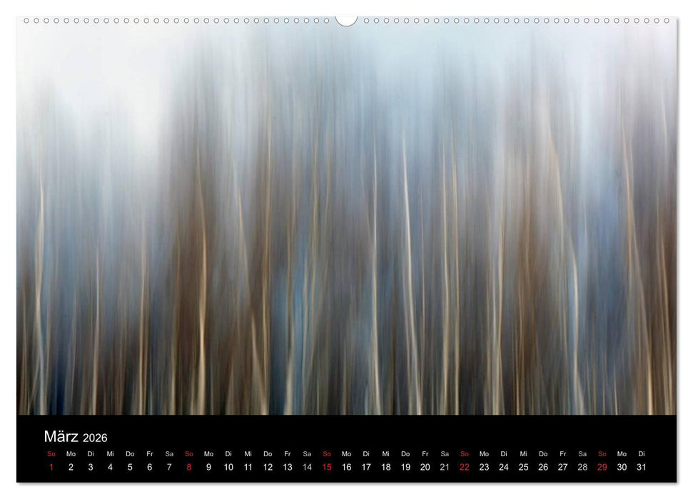 Baumporträts 2026 (CALVENDO Wandkalender 2026)