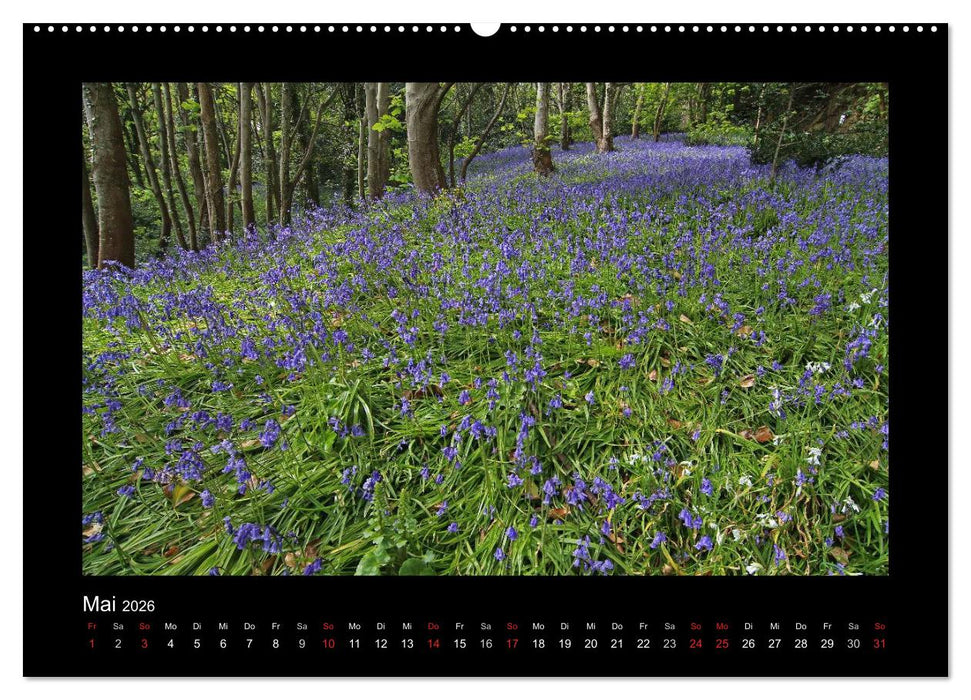 Kanalinseln 2026 (CALVENDO Premium Wandkalender 2026)