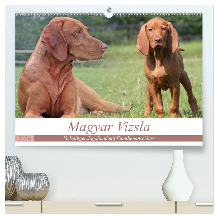 Magyar Vizsla - Vielseitiger Jagdhund mit Familienanschluss (CALVENDO Premium Wandkalender 2026)