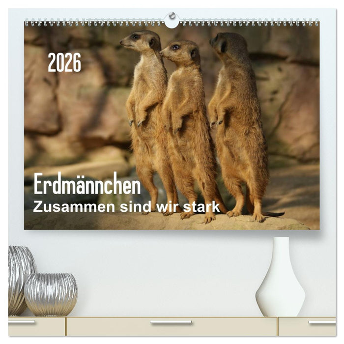 Erdmännchen – Zusammen sind wir stark / CH-Version (CALVENDO Premium Wandkalender 2026)