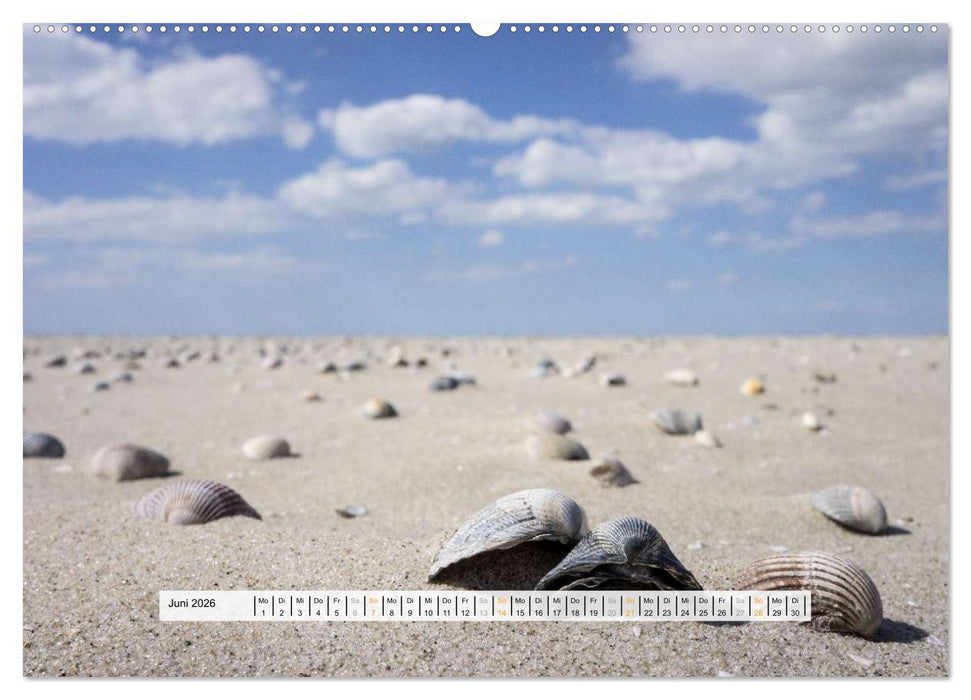 St. Peter-Ording (CALVENDO Wandkalender 2026)