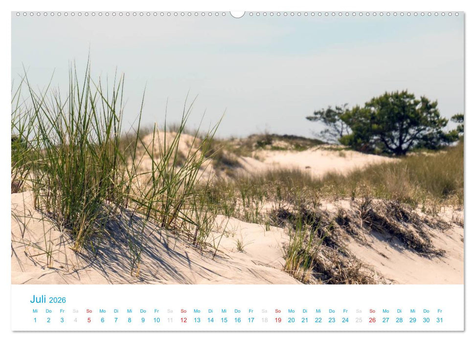 Der Darß Kalender CH-Version (CALVENDO Premium Wandkalender 2026)