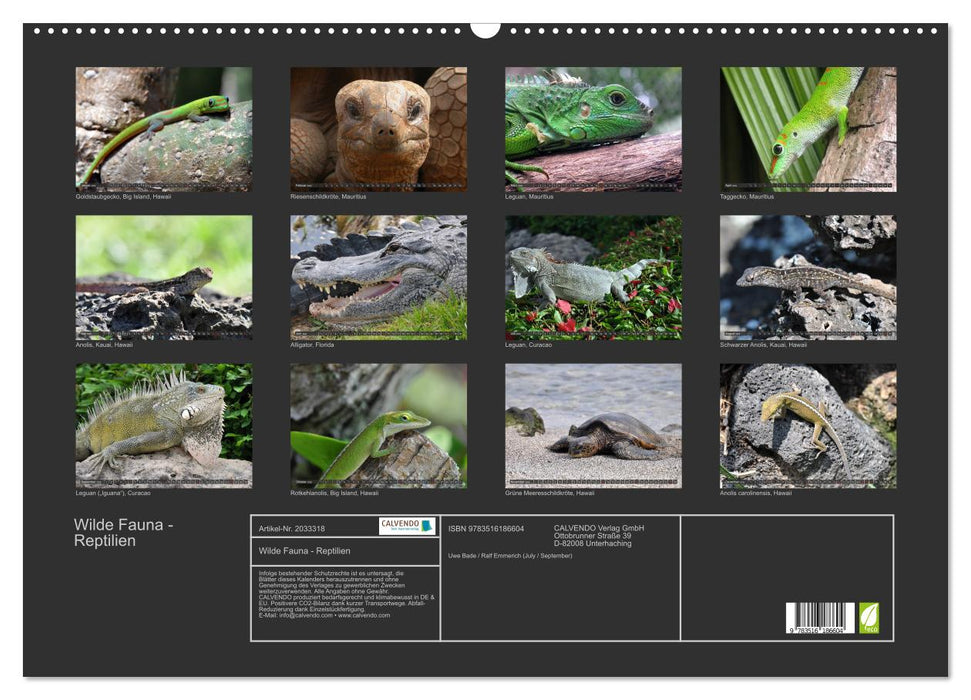 Wilde Fauna - Reptilien (CALVENDO Wandkalender 2026)