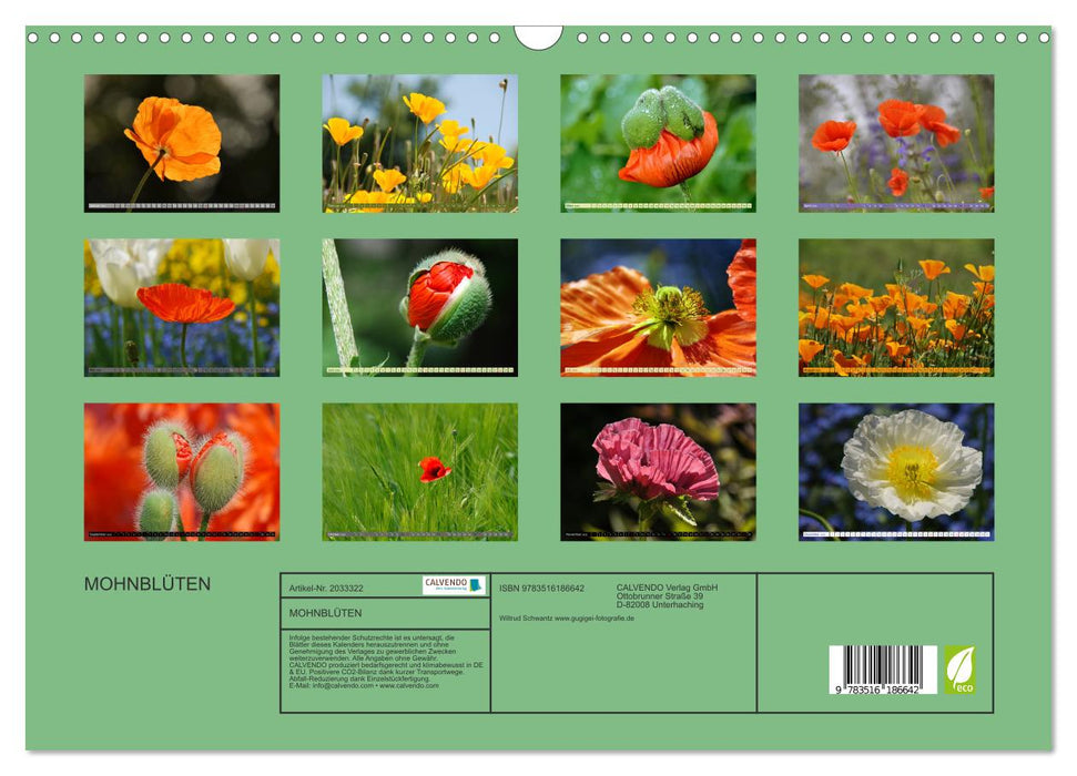 MOHNBLÜTEN (CALVENDO Wandkalender 2026)
