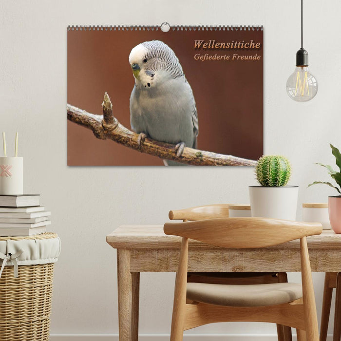 Wellensittiche - Gefiederte Freunde (CALVENDO Wandkalender 2026)