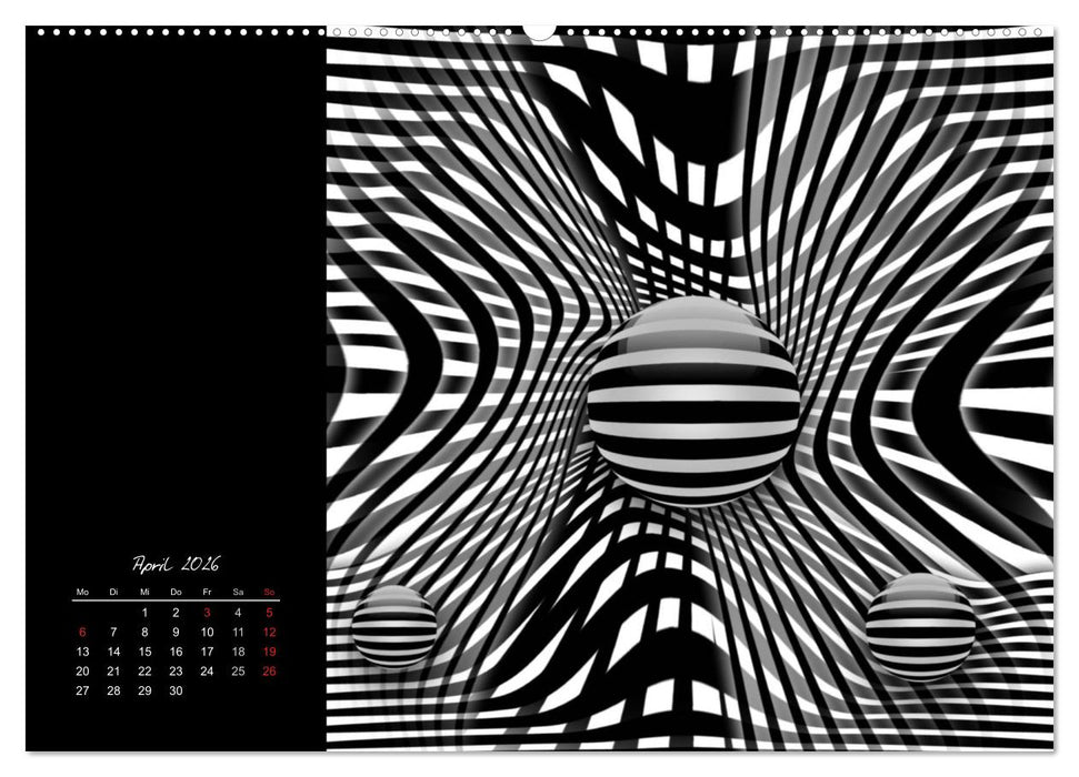 Schwarz trifft Weiß (CALVENDO Premium Wandkalender 2026)