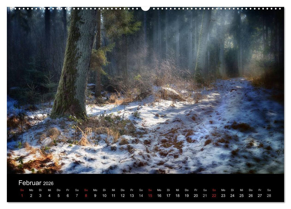 Märchenkulissen II (CALVENDO Wandkalender 2026)