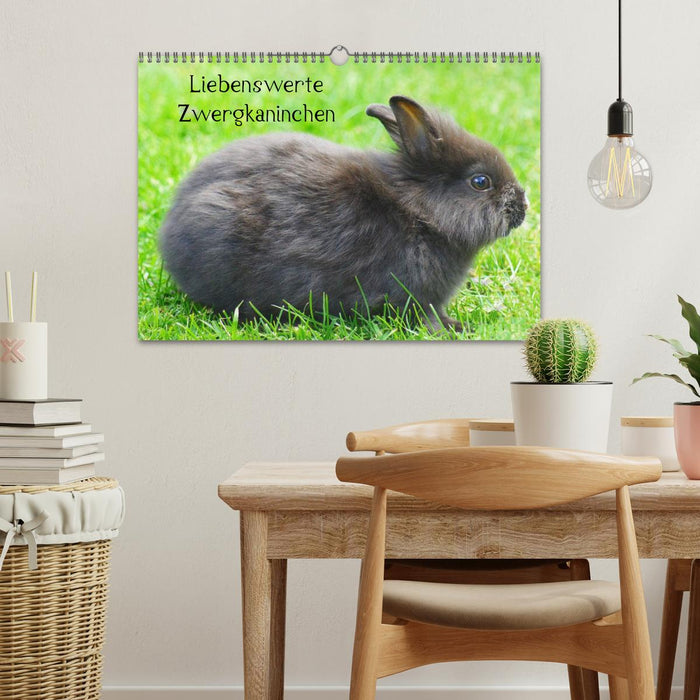 Liebenswerte Zwergkaninchen (CALVENDO Wandkalender 2026)