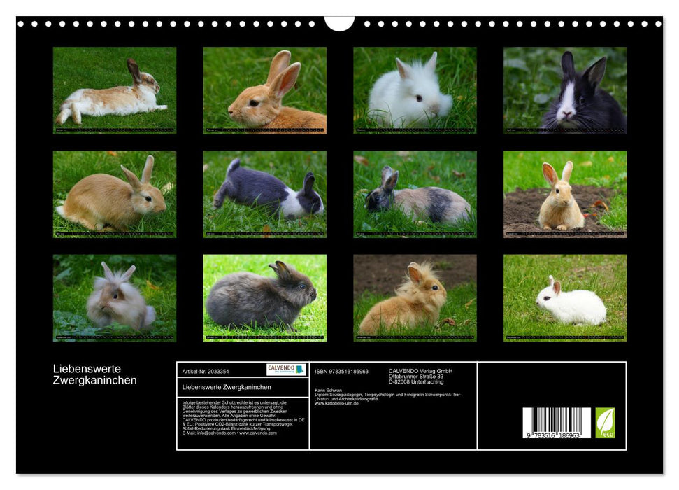 Liebenswerte Zwergkaninchen (CALVENDO Wandkalender 2026)